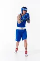 Kask bokserski turniejowy Sting Sports World Boxing Competition Approved - blue_03.webp
